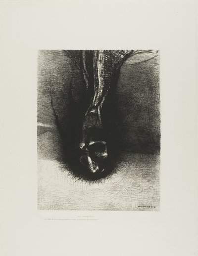 Los Skiapodos: "¡La cabeza lo más baja posible, ese es el secreto de la felicidad!", placa 6 de 6 de Odilon Redon