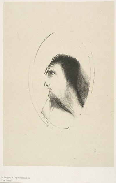 El ancho y la planitud del hueso frontal, lámina 6 de 6 de Odilon Redon