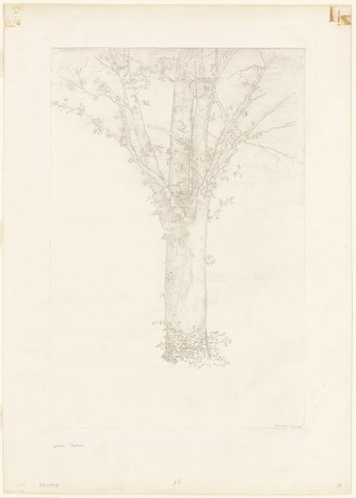 Árbol de Odilon Redon