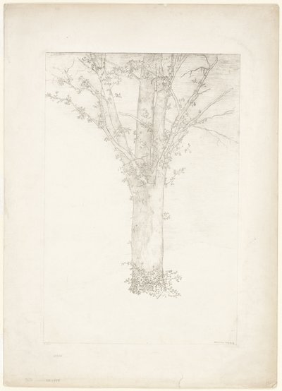 Árbol de Odilon Redon