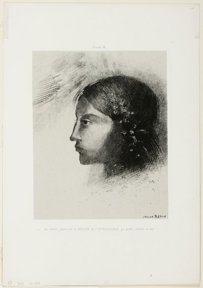 Al despertar vi a la diosa de lo inteligible con su perfil severo y duro, lámina 6 de 6 de Odilon Redon
