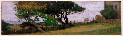 Paisaje cerca de Castiglioncello, Italia de Odoardo Borrani