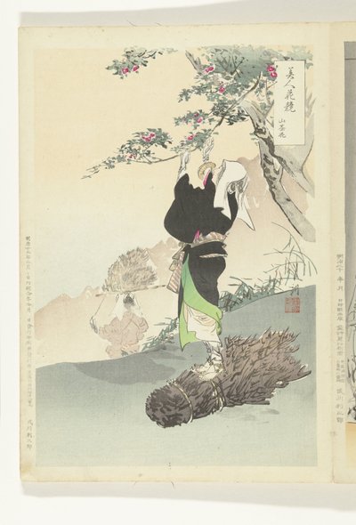 Mujer recogiendo cerezas de montaña Comparaciones entre bellezas y flores (título de la serie) Bijijn hana kurabe (título de la serie sobre el objeto) de Ogata Gekko