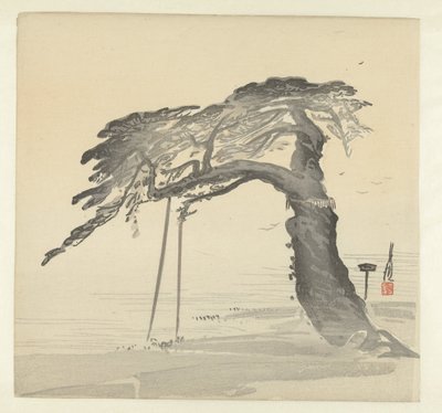 Viejo pino de Ogata Gekko