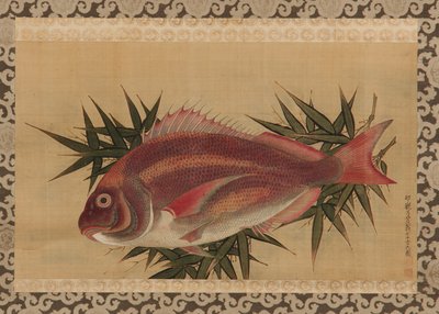 Besugo Rojo (Tai) en Hojas de Bambú, siglo XVIII de Ogawa Ritsuo Ogawa Ritsuo