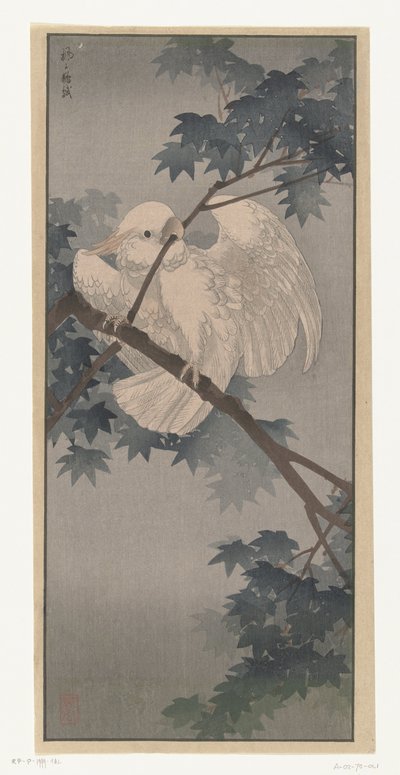 Cacatúa de cresta amarilla en un árbol de Ohara Koson (attributed to)
