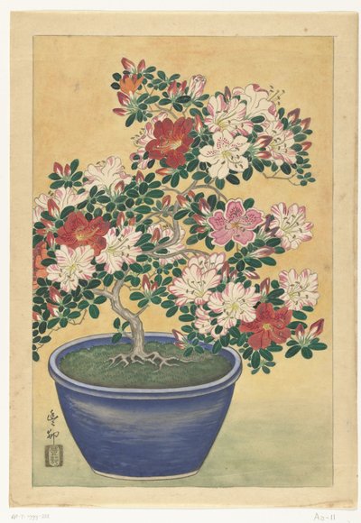 Azalea en flor en maceta azul de Ohara Koson (signed by artist)