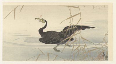 Cormorán con pescado de Ohara Koson