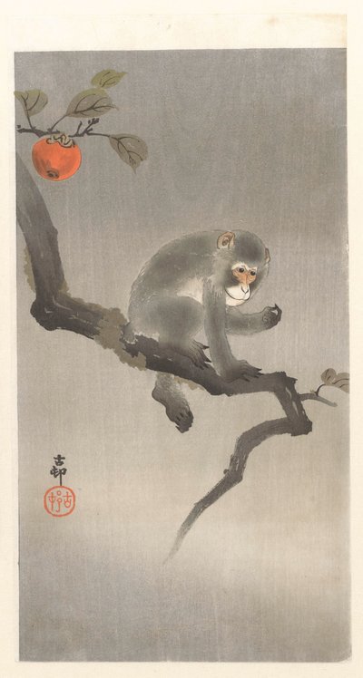 tu en kakiboom de Ohara Koson