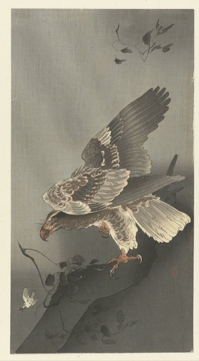 Águila al acecho de presa de Ohara Koson