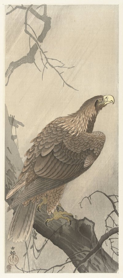 Águila en la rama de un árbol de Ohara Koson