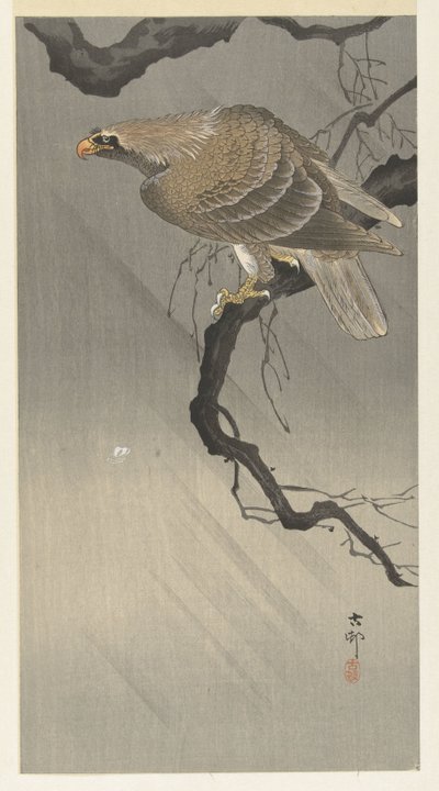 águila en rama de Ohara Koson