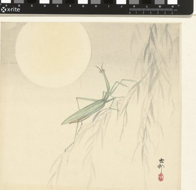 Mantis religiosa de Ohara Koson