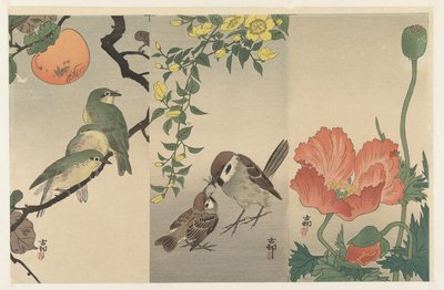 Aves y plantas de Ohara Koson