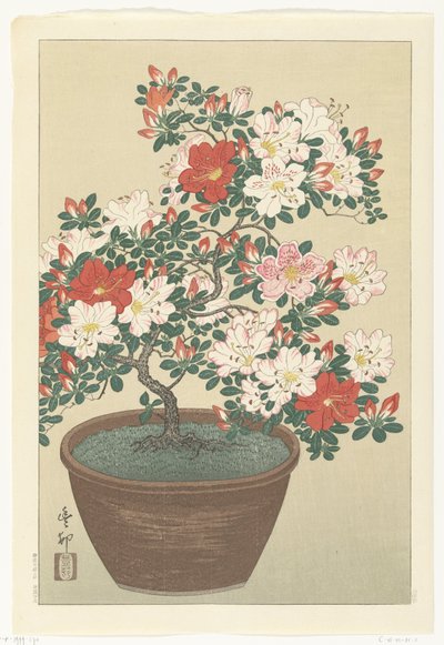 Azalea floreciente en maceta marrón de Ohara Koson