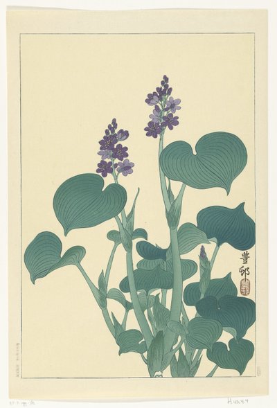 Hosta floreciente de Ohara Koson