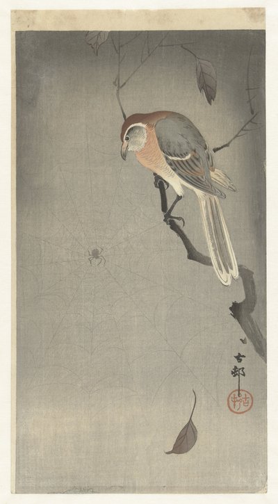 Alcaudón cabeza de búfalo y araña de Ohara Koson