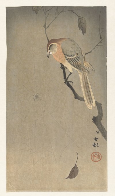 Alcaudón cabeza de búfalo y araña de Ohara Koson