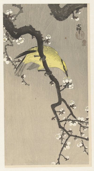 Oropéndola china en rama de flor de ciruelo de Ohara Koson