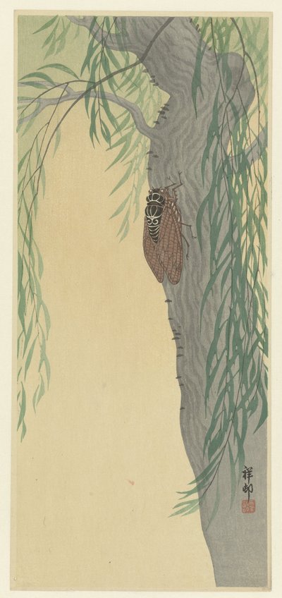 Cicada on a tree de Ohara Koson