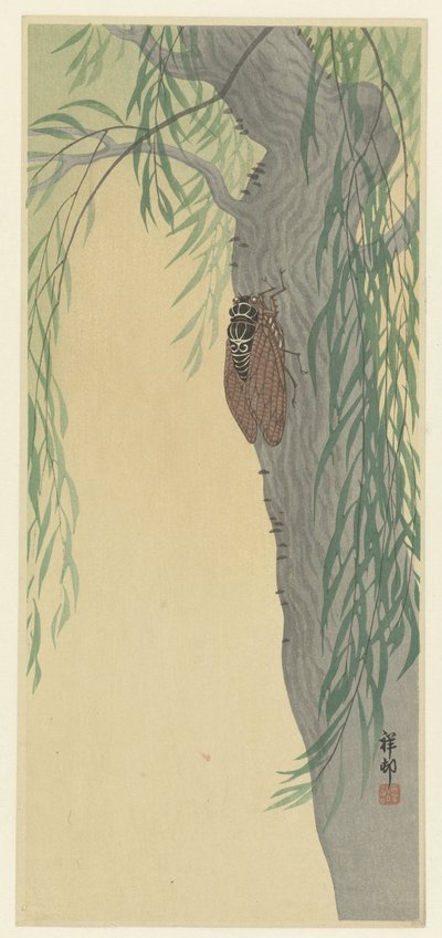 Cigarra en árbol de Ohara Koson