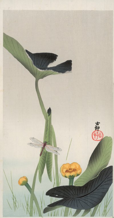 Libélula y Loto de Ohara Koson