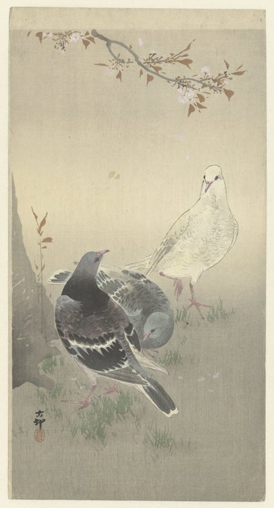 Tres palomas domesticadas de Ohara Koson