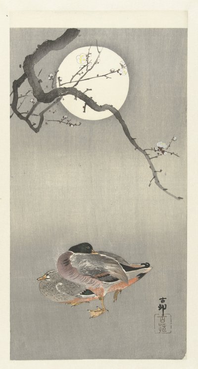 Patos en luna llena de Ohara Koson