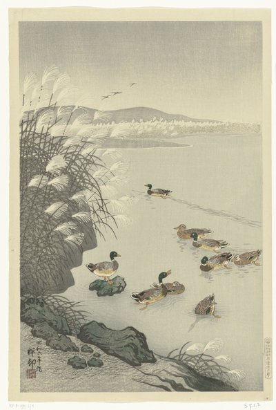 patos en el agua de Ohara Koson