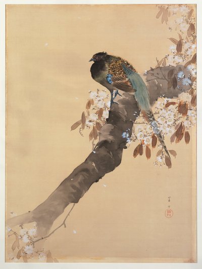 Faisán en rama de flor de cerezo de Ohara Koson
