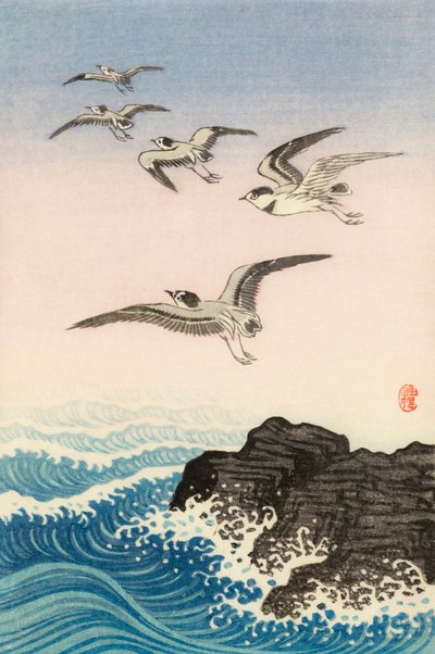 Cinco gaviotas sobre una roca en el mar, siglo XX (grabado japonés) de Ohara Koson