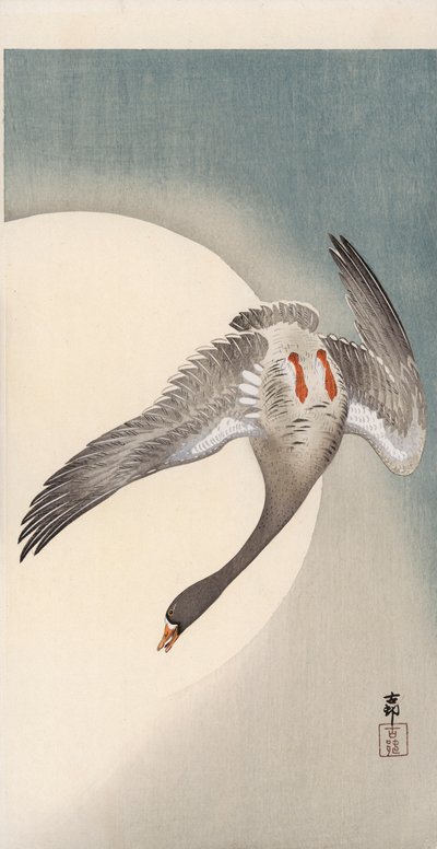 Ganso de frente blanca volando visto desde abajo frente a la luna de Ohara Koson