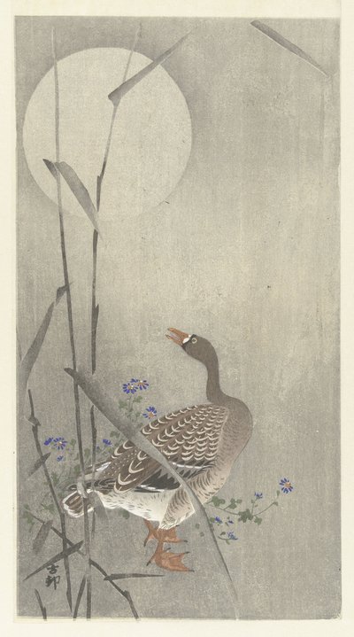 Ganso en luna llena de Ohara Koson