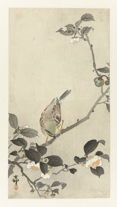 Bunting en rama de flor de Ohara Koson