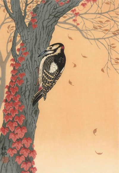 Gran pájaro carpintero manchado en árbol con hiedra roja, siglo XX (grabado japonés) de Ohara Koson