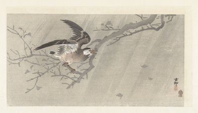 Estornino gris en tormenta de Ohara Koson