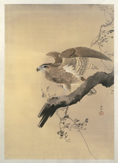 Halcón (cepillo) de Ohara Koson