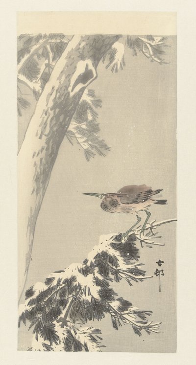 garza nocturna india en la rama de un árbol cubierto de nieve de Ohara Koson