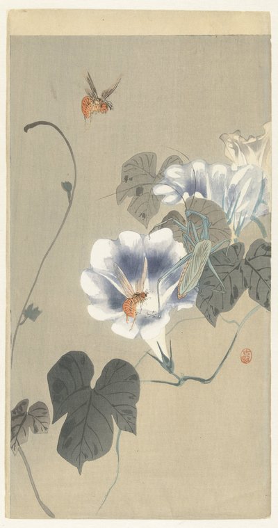 Insectos en enredadera de Ohara Koson