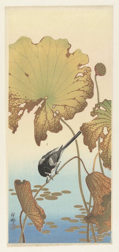 Lavandera japonesa en la planta de loto de Ohara Koson