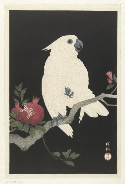 cacatúa y granada de Ohara Koson