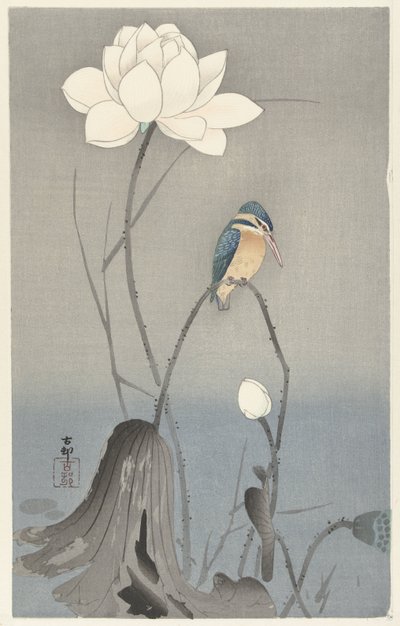 Martín pescador con flor de loto de Ohara Koson