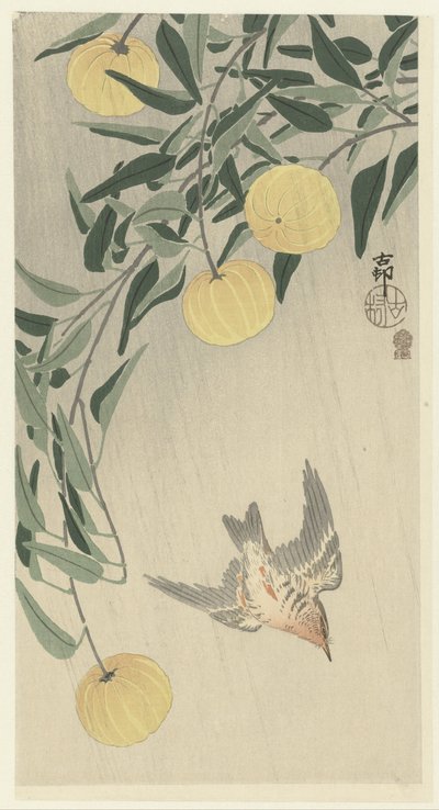 Cuco bajo la lluvia de Ohara Koson