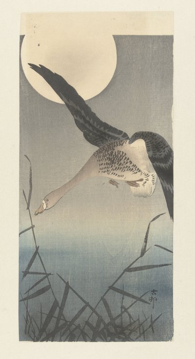 Ganso de frente blanca en luna llena de Ohara Koson