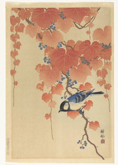 Carbonero común en la rama de paulownia de Ohara Koson