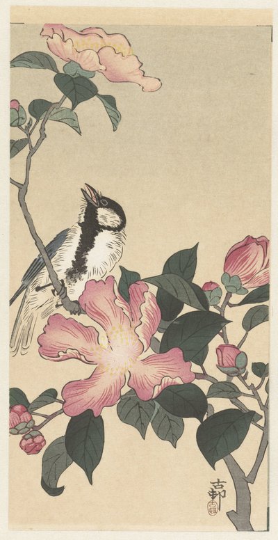 Gran herrerillo en rama con flores rosas de Ohara Koson