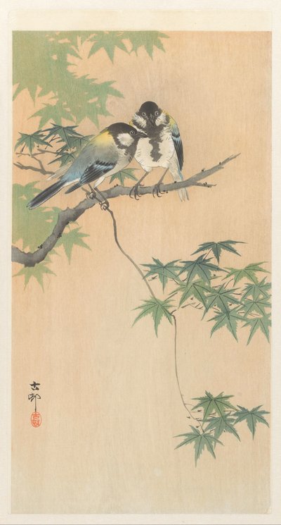 Grandes tetas en la rama de arce de Ohara Koson