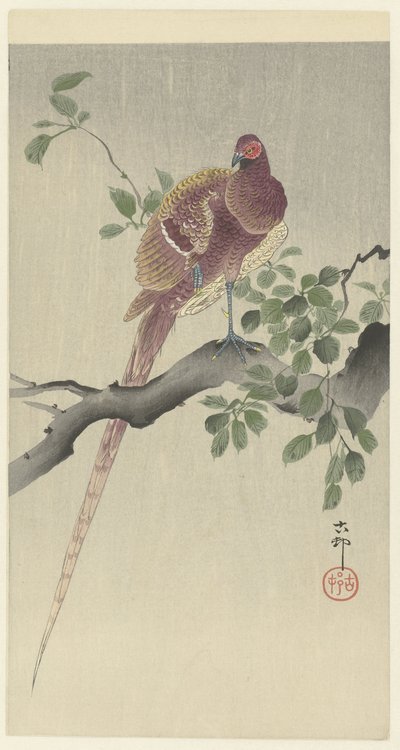 cobrefazante de Ohara Koson