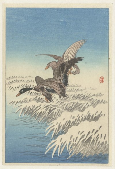 Pareja de patos volando por encima de los cañaverales nevados de Ohara Koson