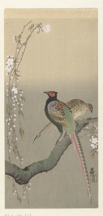Par de faisanes y flor de cerezo de Ohara Koson